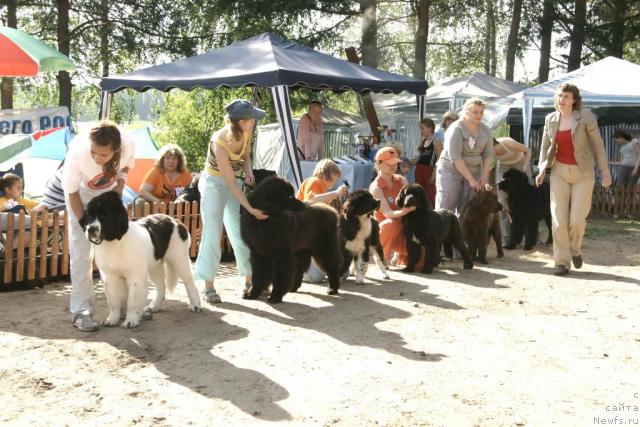 Фотография № 30326