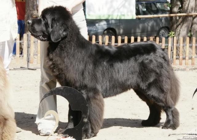 Фотография № 30359