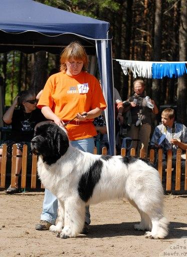 Фотография № 30360