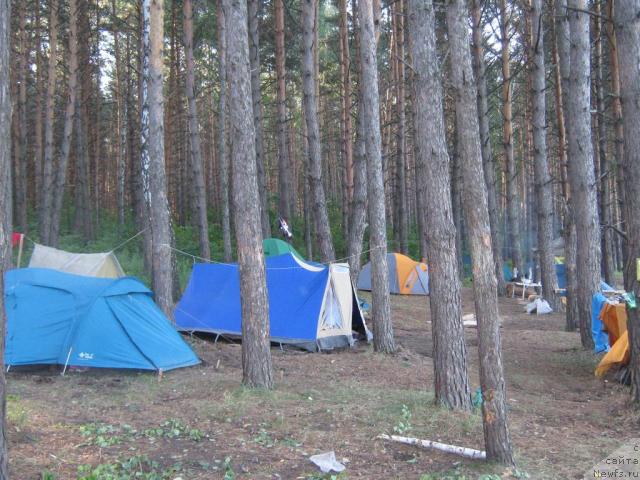 Фото: ньюфаундленд Arman'yak Dushi Moey (Арманьяк Души Моей), Dar'ya Gusyinina (Дарья Гусынина)