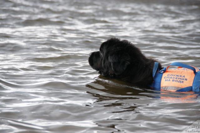 Фотография № 30416