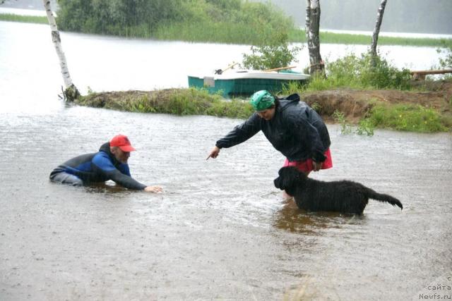 Фотография № 30426