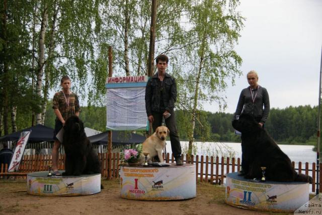 Фото: ньюфаундленд Armani Imperial (Армани Империал), ньюфаундленд O Black Diamond Little Bear (О Блек Диамонд Литтл Беар)