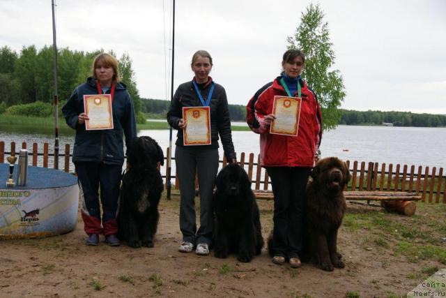 Фото: ньюфаундленд Super Bizon Antaliya (Супер Бизон Анталия), ньюфаундленд Nort Fyeys Lavanda (Норт Фэйс Лаванда), ньюфаундленд Amazing Grace vom Riesrand
