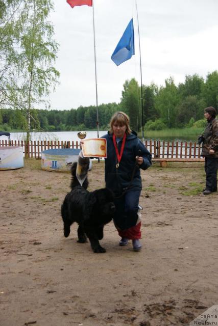 Фотография № 30432