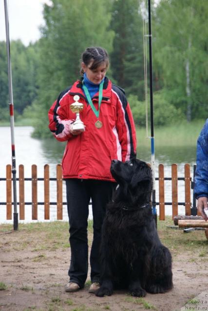 Фото: ньюфаундленд CHarodeyka Fabiggi (Чародейка Фабигги), Irina Nazarova (Ирина Назарова)