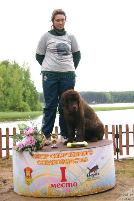 Фотография № 30438