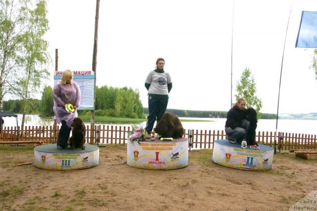 Фото: ньюфаундленд Komandor iz Medvej'ego YAra (Командор из Медвежьего Яра), и щенок от, ньюфаундленд Sangriya (Сангрия), Гастон де Фуа