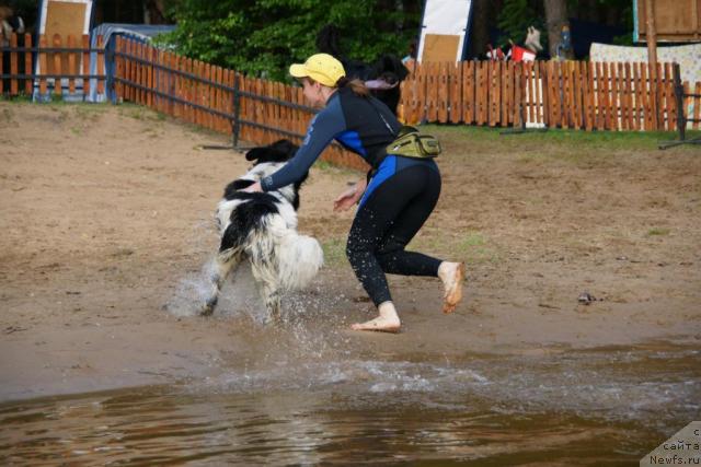 Фотография № 30449