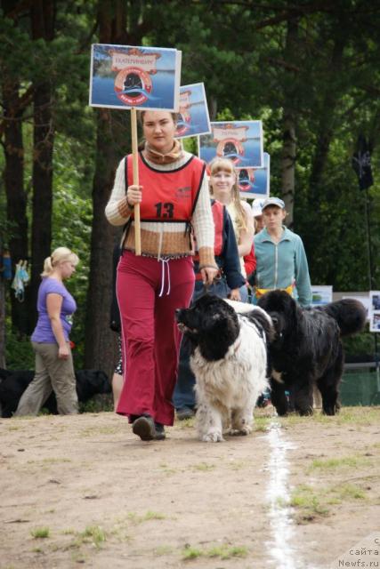 Фото: Kseniya Novikova (Ксения Новикова), ньюфаундленд Fiamettahauz Vinland Princess (Фиаметтахауз Винланд Принцесс)