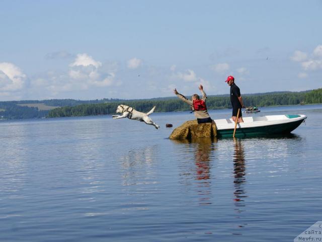 Фотография № 30461