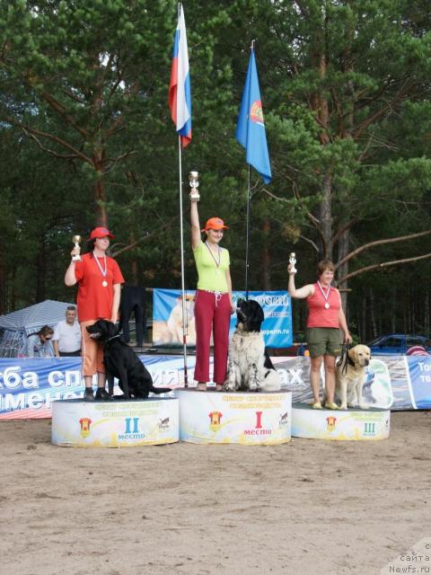 Фото: ньюфаундленд Super Bizon Argo (Супер Бизон Арго), Kseniya Novikova (Ксения Новикова)