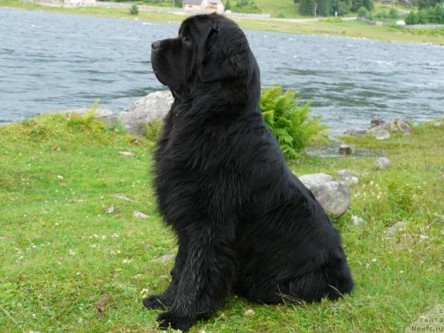 Фотография № 30479