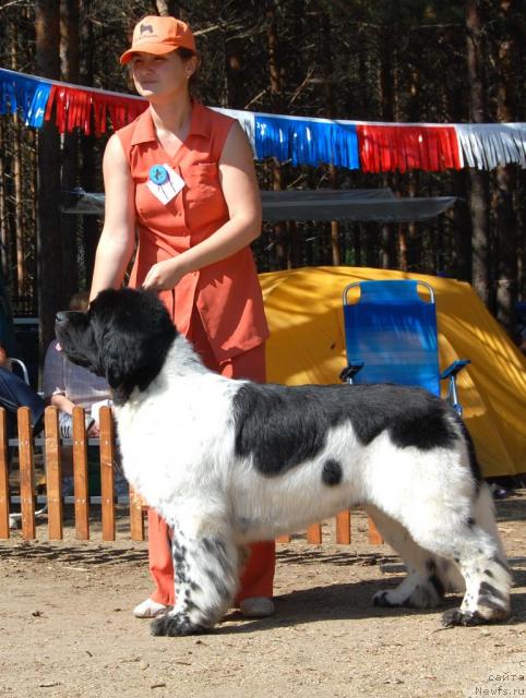 Фотография № 30522