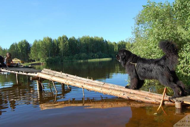 Фотография № 30599