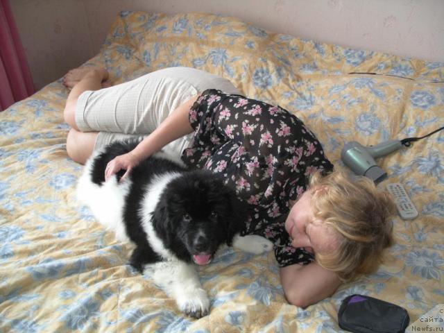 Фото: [p1436]
ПАРАМАРИБА, я