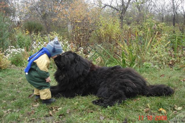 Фотография № 30618