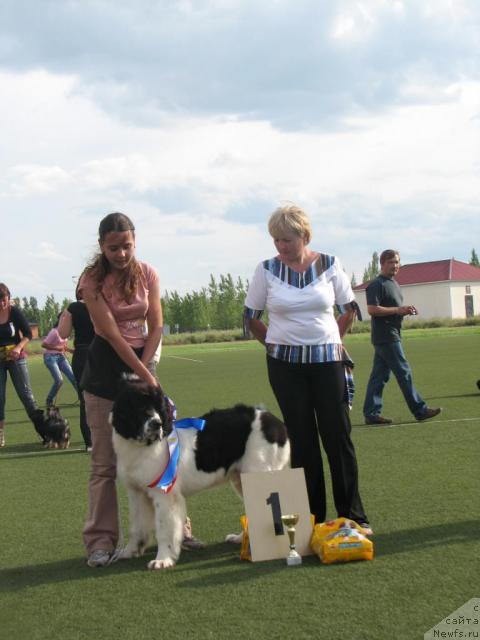 Фото: ньюфаундленд Lord Luxemburg Ayular iz Tihogo Omuta (Лорд Люксембург Аюлар из Тихого Омута), Katerinka Klassen (Катеринка Классен)