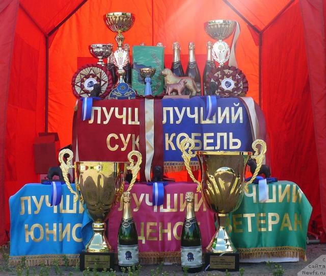 Фотография № 30674