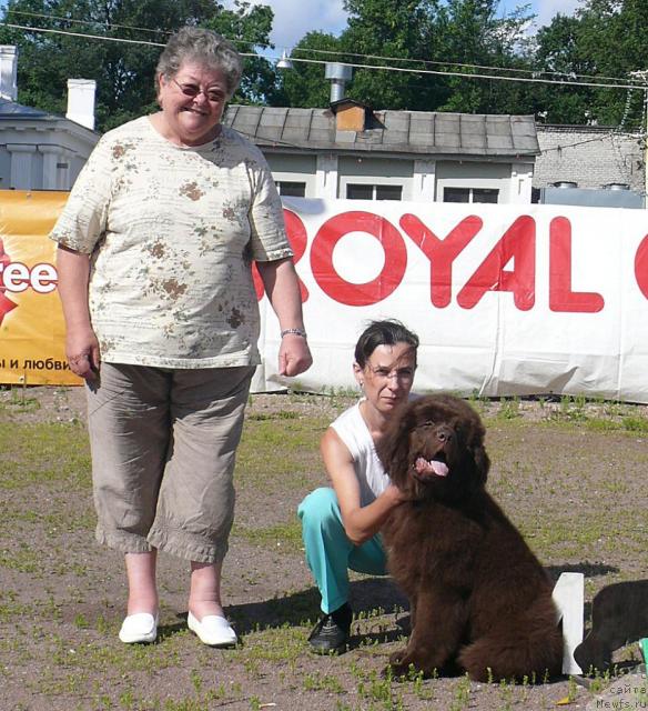 Фотография № 30675