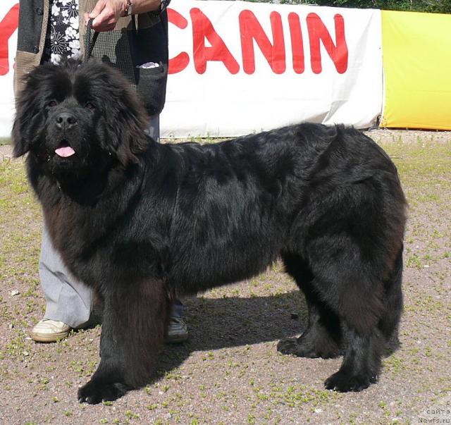 Фотография № 30681