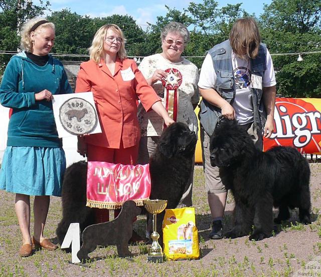 Фото: Lyubov' Jakova (Любовь Жакова), YUliya YAstrebova (Юлия Ястребова), Birthe Moeller Hansen, Ekaterina Andryuschenko (Екатерина Андрющенко), ньюфаундленд Sent Djons Romance of Love (Сент Джонс Романсе оф Лав), ньюфаундленд Smigar Nansen Neustrashimy (Смигар Нансен Неустрашимый)