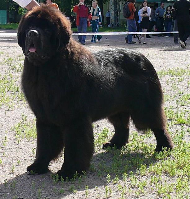 Фотография № 30688