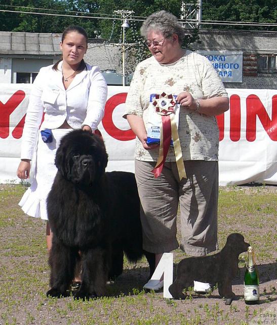 Фотография № 30691