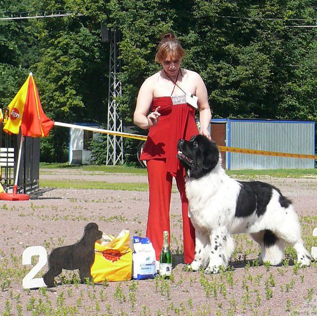 Фотография № 30694