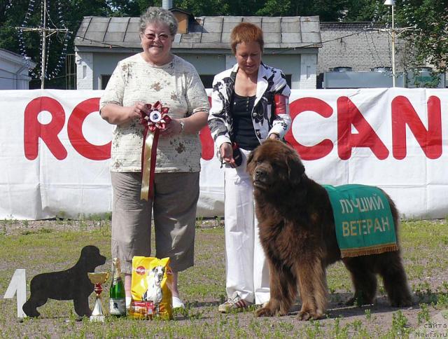 Фотография № 30705