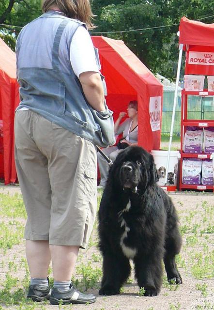 Фотография № 30711