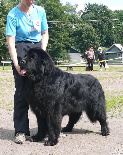 Фотография № 30720