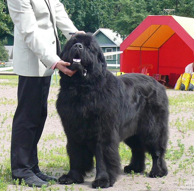 Фотография № 30721