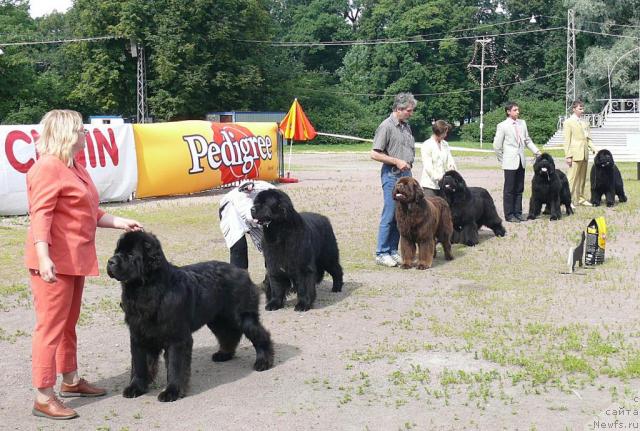 Фотография № 30724