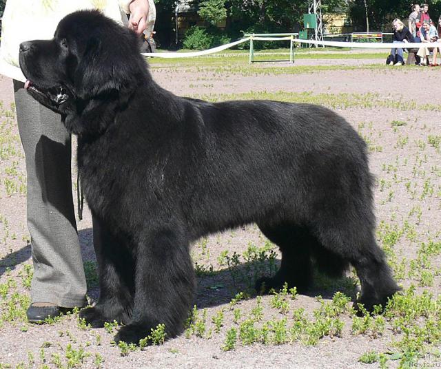 Фотография № 30726