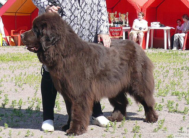 Фотография № 30728