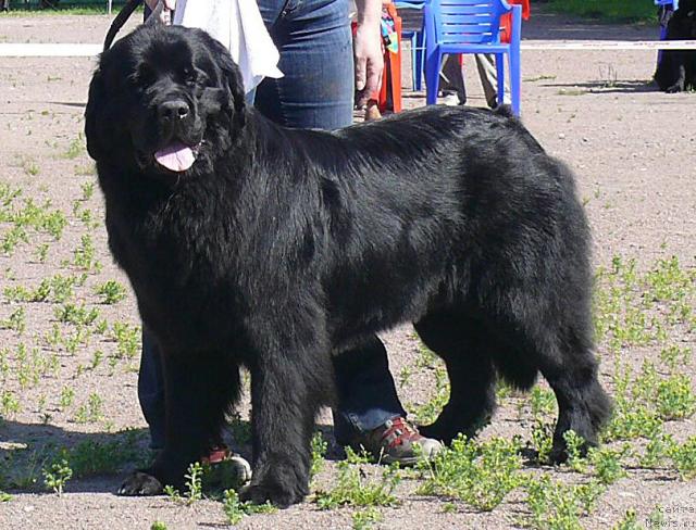 Фотография № 30731