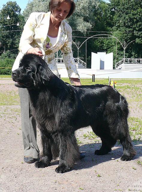 Фотография № 30733