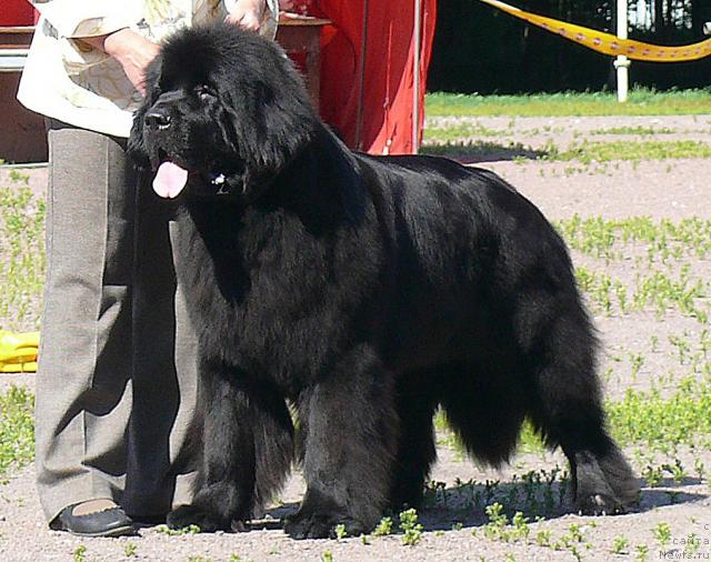 Фотография № 30737