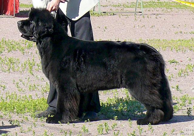 Фотография № 30741