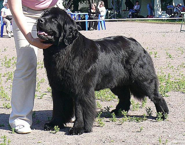 Фотография № 30743