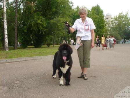 Фотография № 30747