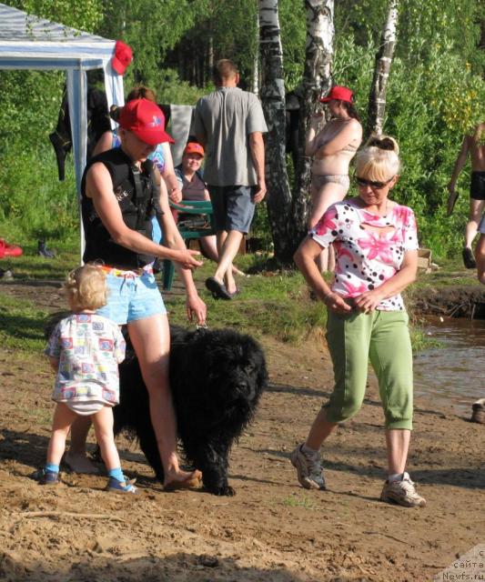 Фотография № 30767