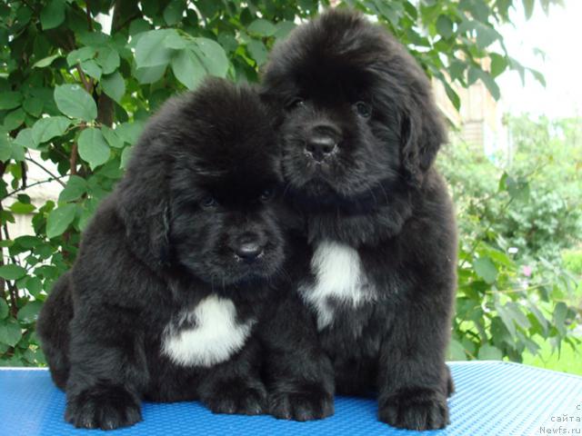 Фотография № 30773