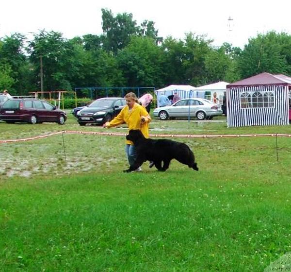 Фотография № 30778