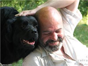 Фото: ньюфаундленд Polyarnaya Nochka (Полярная Ночка)