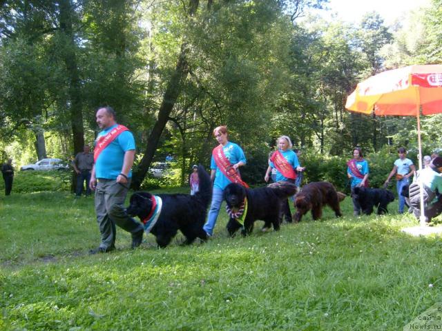 Фотография № 30977