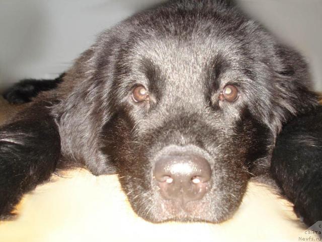 Фото: Alena Malyih (Алена Малых)