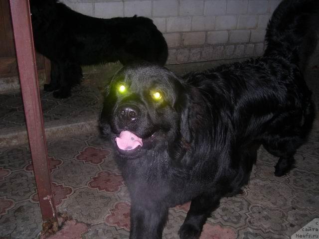 Фотография № 31