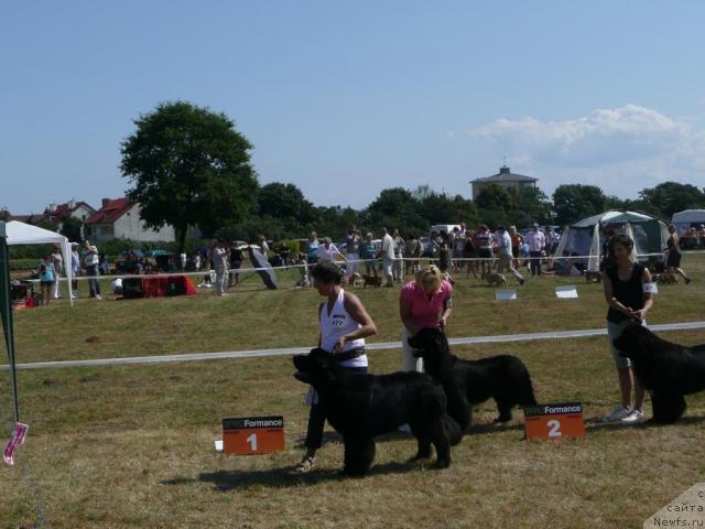 Фото: BLACK DEVIL Arrige Aures